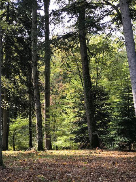LunayDomaine De La Vaudouriere别墅 外观 照片