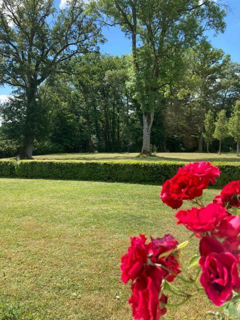 LunayDomaine De La Vaudouriere别墅 客房 照片